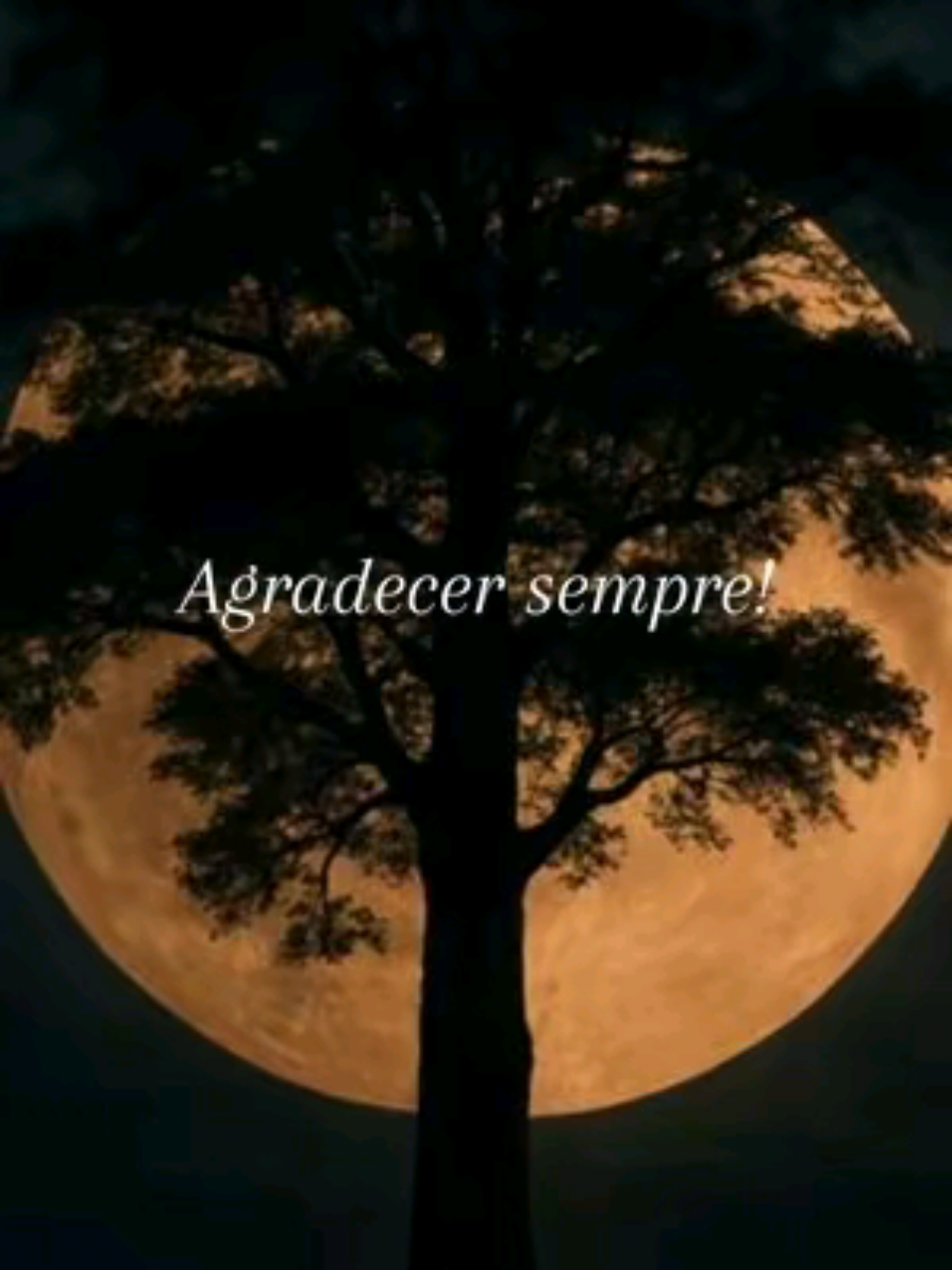 Que as coisas boas venham sem aviso,  mas que fiquem como se sempre tivessem feito parte da gente. Agradecer até o silêncio.  #frasesmotivadoras #reflexao #fyp #foryoupage #gratidao #sabedoria 