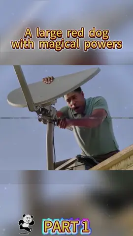 #movie #commentate #fyp #foryou 