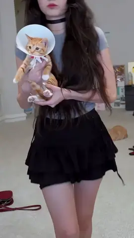 Meet mozzarella, Emirus new cat. #streamer #fyp #emiruclips #fypシ゚ #emiru #bonnie #cattiktok 