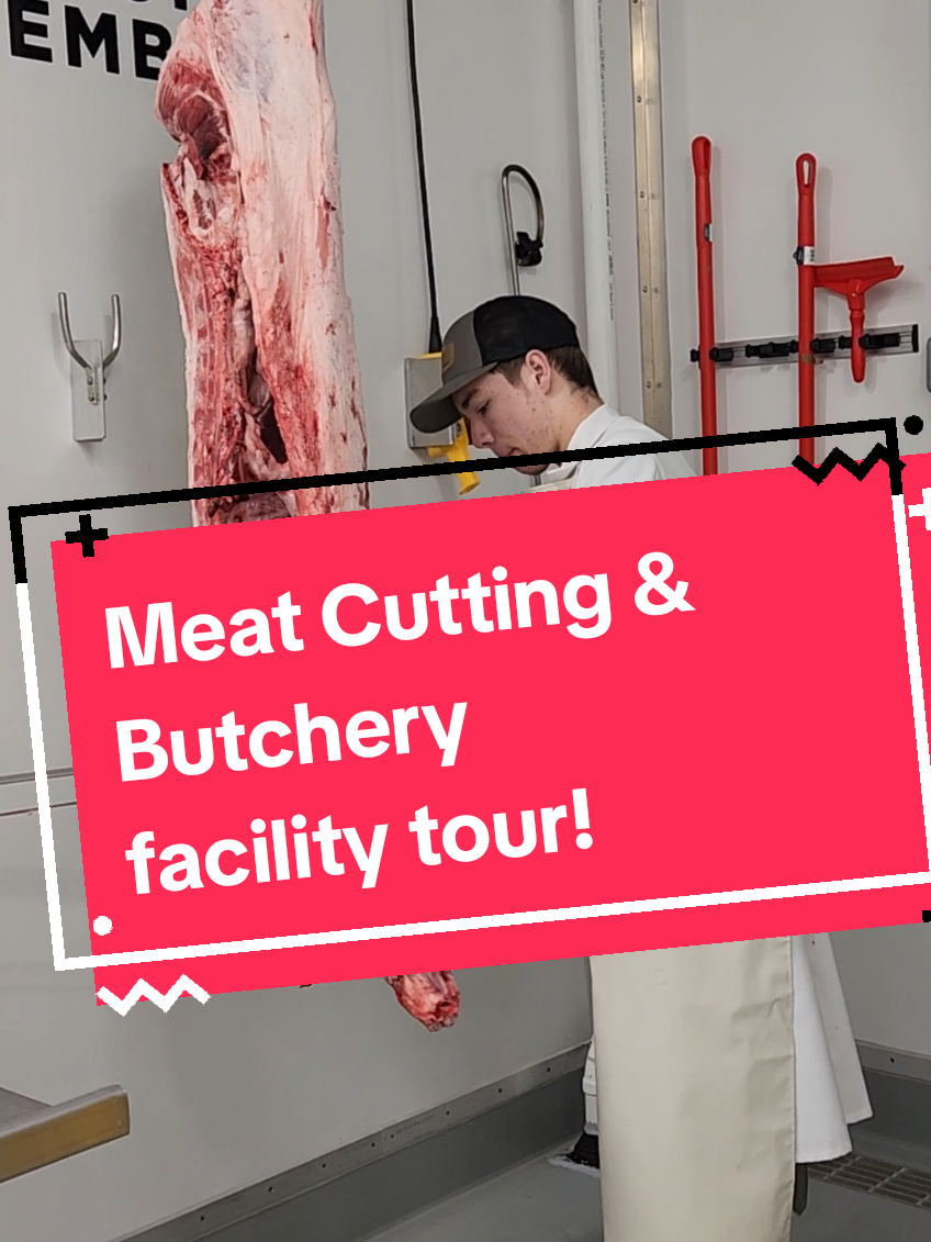 Take a 27-second look into our new state-of-the-art facility for our Meat Cutting and Butchery program! #Meat #Butcher #education 