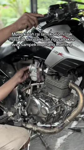 Kudu semangat campur misuh😊#tigercantik #tigerpupokbawang 