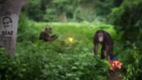 #TrainByDayJoeRoganPodcastByNight #joeydiaz #JoeRoganExperiencePodcast #JoeRoganExperience #JoeRoganPodcast #Podcast #JREClips #JoeRoganClips#followme #tiktokaffiliateprogram #foryoupage #fypシ