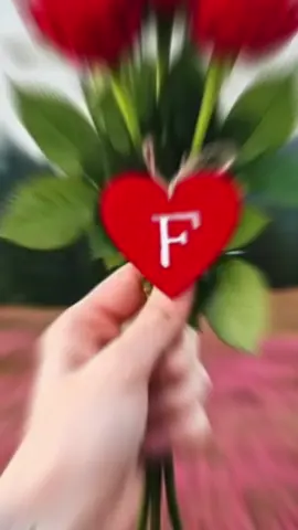 FOYSOL 