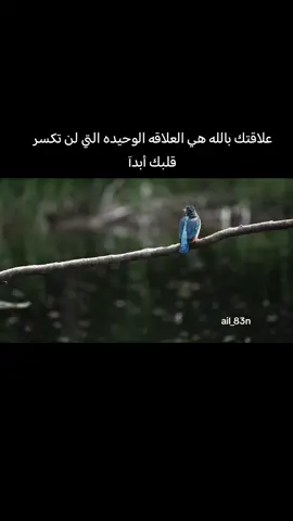 #مشاهدات #شورحاتي 