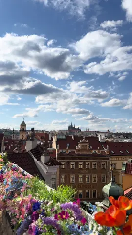 اطلالة Terasa U Prince في براغ من اجمل الاطلات بالدنيا ، كأنك تشوف نفسك بفيلم كارتوني او فيلم كلاسيكي 🎶 تستحق الزياره عالأقل مرّه بالعمر ♥️♥️♥️♥️  #براغ  #التشيك #praha #prague #اكسبلور #ترند #سفر #اغاني #travel #ورد 