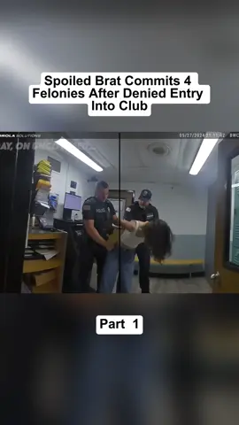 Part 1 #cops #copsoftiktok #police #policeofficer #bodycam #crime #truecrime #truestory #foryou #fyp 