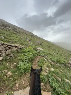 Shreen mountain 🏔️🐎 #davarabarzan #shreenmountain #baruzhi 