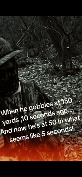Had Beckett tore up! #fyp #viral #fypviral #repost #hunting #turkey 