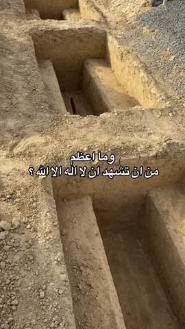 قل : اشهد ان لا اله الا الله  ، وطمئن #قران_كريم #اكسبلور #قران #explore #الدعاء 