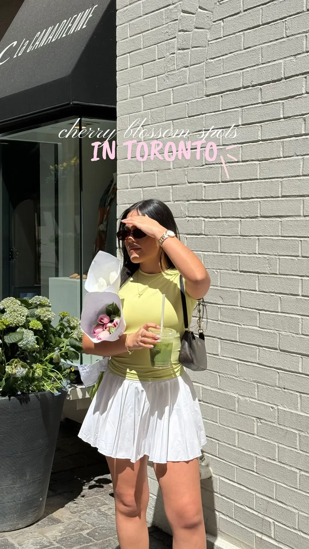 perf picnic date 🌸 #thingstodotoronto #springactivities #torontospring #cherryblossom 
