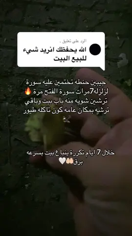 الرد على @. اقوة ختمه لبيعه بيت🤲🏻🤍#تيم_الرافدين #العراق_السعوديه_الاردن_الخليج #اكسبلور_تيك_توك #اكسبلور #اكسبلورexplore 