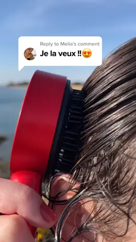 👉 La brosse qui réduit la chute de vos cheveux et améliore leur apparence ! Lien en Bio💖#beauté #poussecheveux #cheveux #soincapillaire 