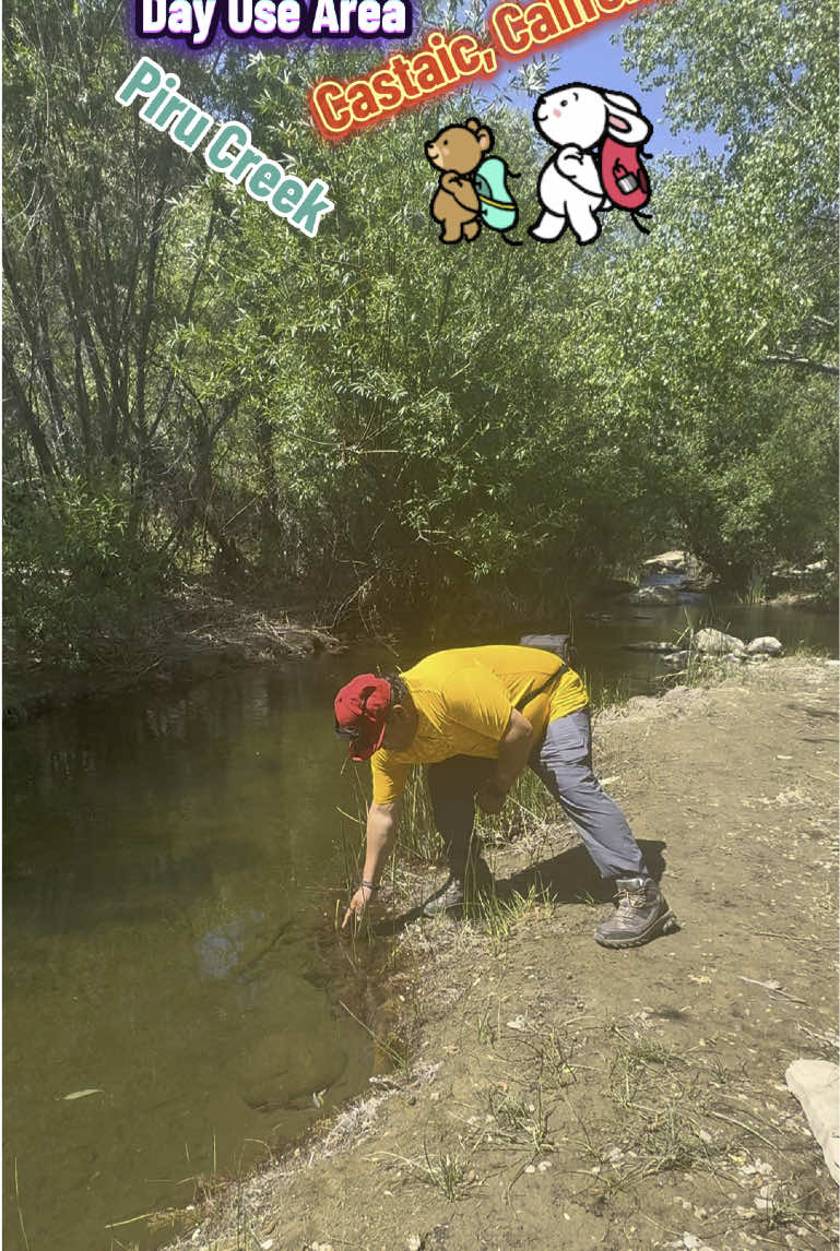 Respuesta a @Isaac Marquez Frenchman's Flat Day Use Area. Castaic, California.  Place to visit.  #answer #question #pregunta #respuesta #viajando_ala_naturaleza #outdoor #placetovisit #dayuse #Frenchmansflatsdayusearea  #swimmingcreek #pirucreek 