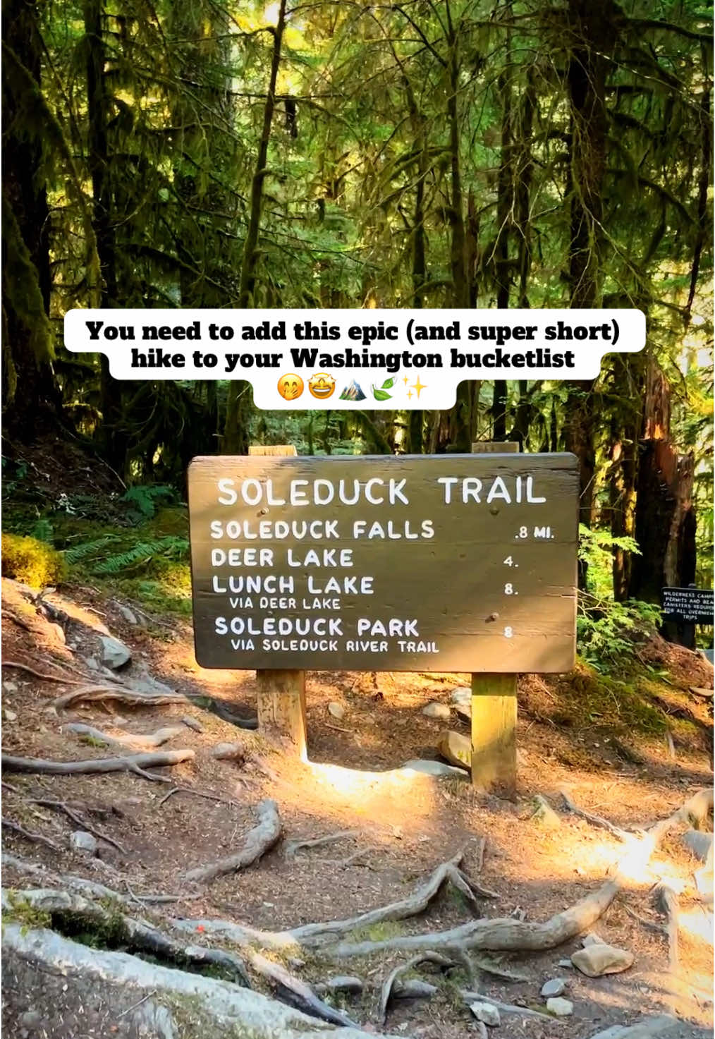 You need to add Sol Duc Falls to your Washington bucket list 😍 #PNWLife #PNWonderland #OlympicNationalPark