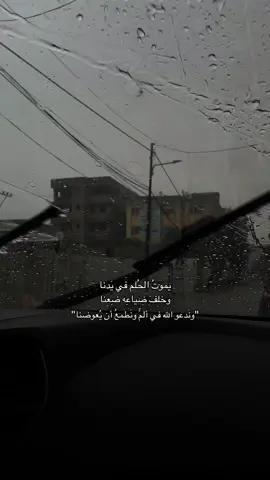 #reposting #fyp #viral #explore #foryoupage #viralvideo #بدون_موسيقى #fypシ 
