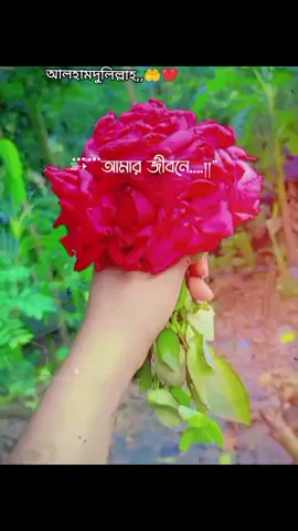 #CapCut #Love You ammu🫶❤️