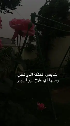 يمكن ما شايفينها 💔🥹