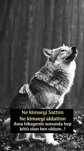 🇹🇷🦅🐺🇹🇷