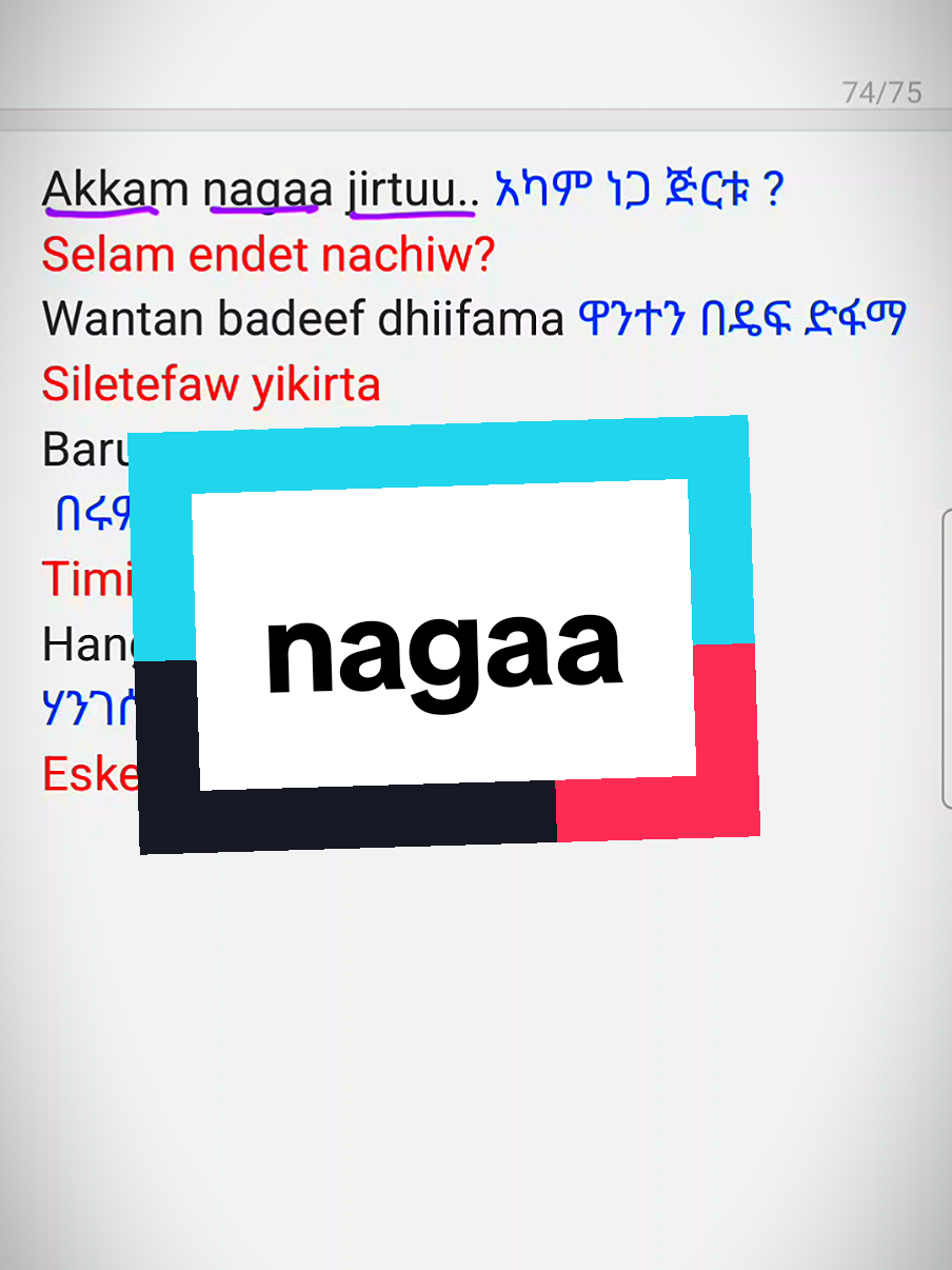 akkam nagaa jirtuu #fyp #languagelearning #oromotiktok❤️💚❤️ #amharatiktok #creatorsearchinsights @ታኩር @Solomon G 