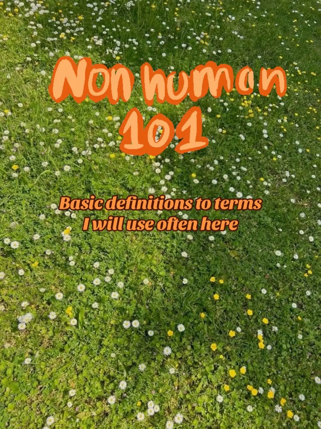 Otherkin is basically thrown around the same as alterhuman alot so I'm not sure if I got that right but I am pretty sure I did // Tags: #education #definition #alterhumanterms #alterhuman #nonhuman #therian #otherkin #therianthropy #fyp #foryoupage 