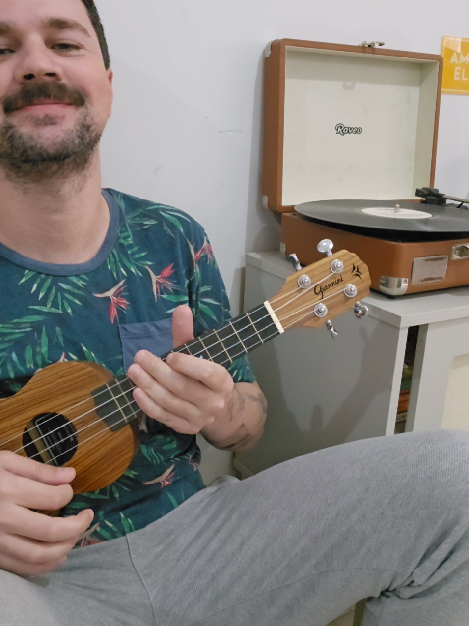 #pitty #meadora #ukulele #cover #poprock #ukulelecover #ukuleletiktok #covers #coversbrasil #vozeukulele 