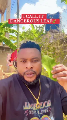 Dangerous direction against your enemies 🔥🔥🔥 #fyp #tictokghana🇬🇭🇬🇭🇬🇭 #spiritualityandnature #tiktokusa🇺🇲 #canada_life🇨🇦 #viral 