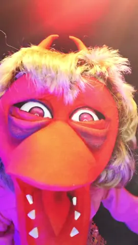 PASTORA ZEBU EM: ALELUIA IA IA IA