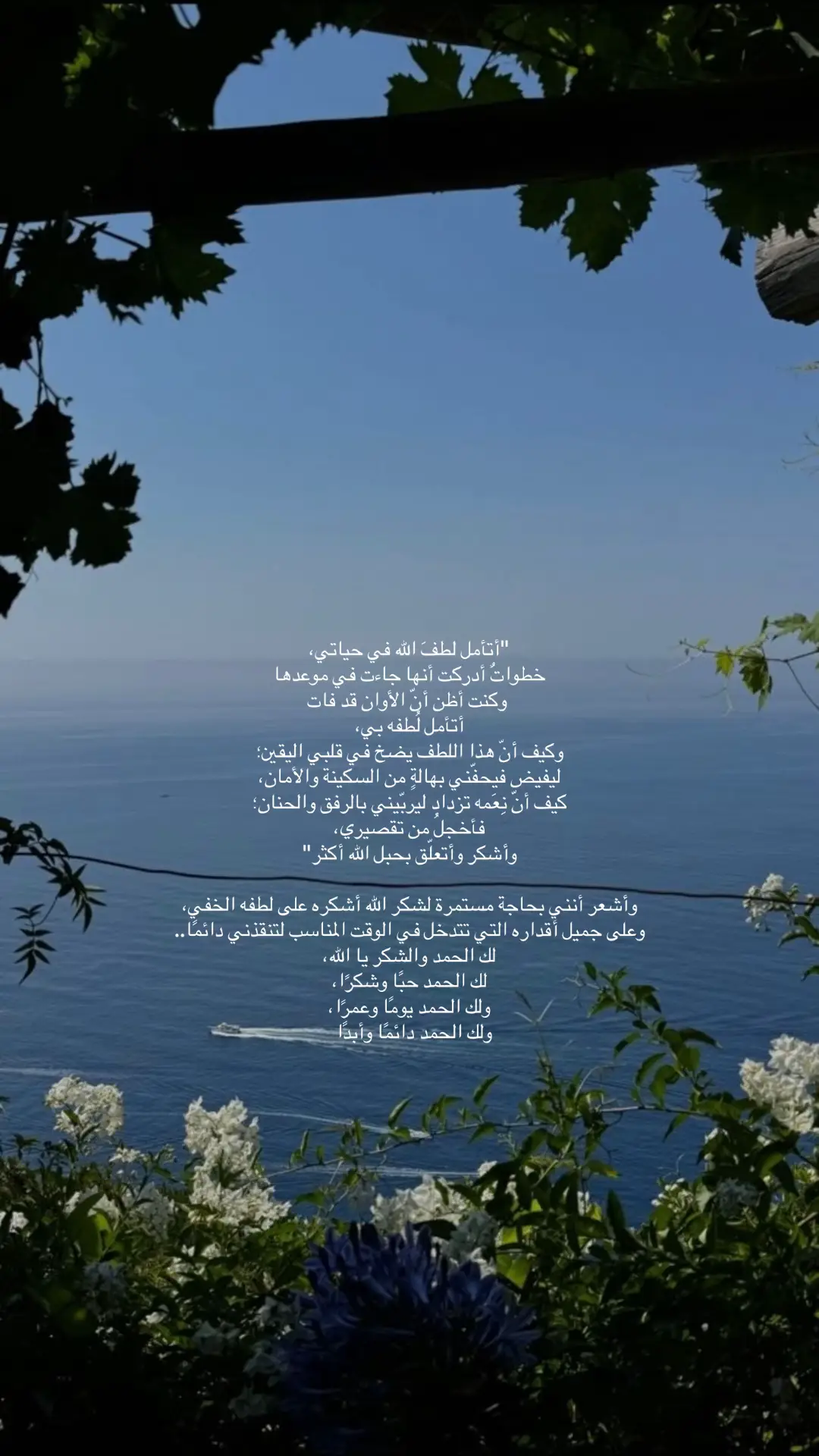 #explore #fyp #foryou #اكسبلور 