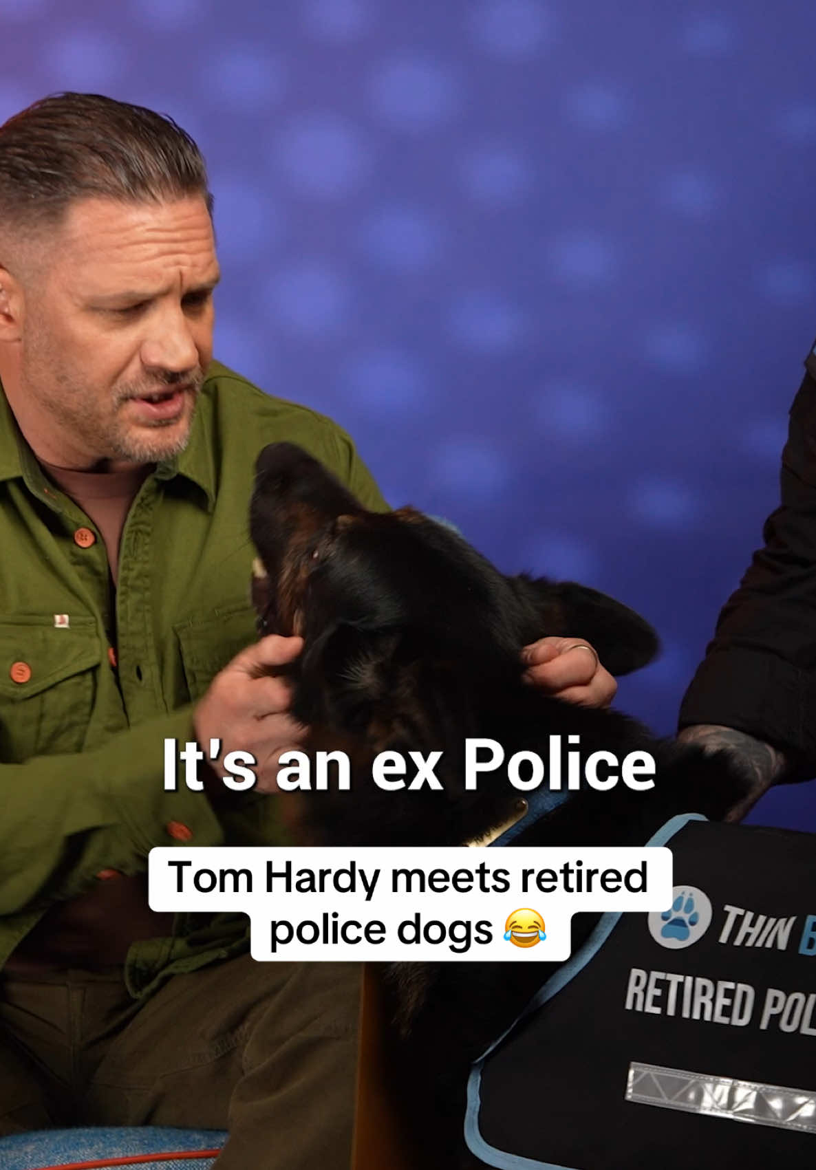 I could watch Tom Hardy fighting police dogs all day 😂  #tomhardy #netflix #havoc Havoc is on Netflix 25th April @Thin Blue Paw 