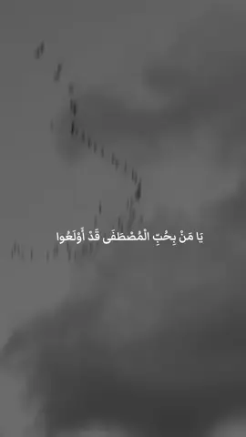 إِنَّ اللَّهَ وَمَلائِكَتَهُ يُصَلُّونَ عَلَى النَّبِيِّ يَا أَيُّهَا الَّذِينَ آمَنُوا صَلُّوا عَلَيْهِ وَسَلِّمُوا تَسْلِيمًا #صلاة_على_النبي  #محبة_محمد  #المصطفى  #ذكر_النبي  #اللهم_صلي_على_نبينا_محمد  #حب_النبي  #محمد_صلى_الله_عليه_وسلم  #حب_الرسول  #صلوا_على_رسول_الله 