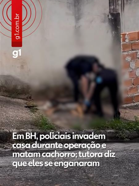 #MinasGerais - Na manhã desta quinta (24), policiais civis invadiram casa durante operação e mataram o cachorro da família. O caso ocorreu no bairro Jaqueline, região norte de Belo Horizonte. De acordo com Michelle Santos, tutora do animal, ela estava em casa junto com o marido e seus três filhos no momento da invasão. Ela conta por volta das seis da manhã, percebeu que o cachorro estava muito agitado na área externa da casa, quando ouviu um barulho muito forte vindo do portão e viu que os policiais tinham invadido a sua residência. Depois disso, o cachorro saiu para fora da casa, momento em que foi atingido pelos policiais e morreu. Segundo Michelle, a PC informou que tinham um mandato de busca e apreensão para uma pessoa que ela e a família desconheciam. Depois que os policiais perceberam que o suspeito não morava lá e admitiram que cometeram um erro. 