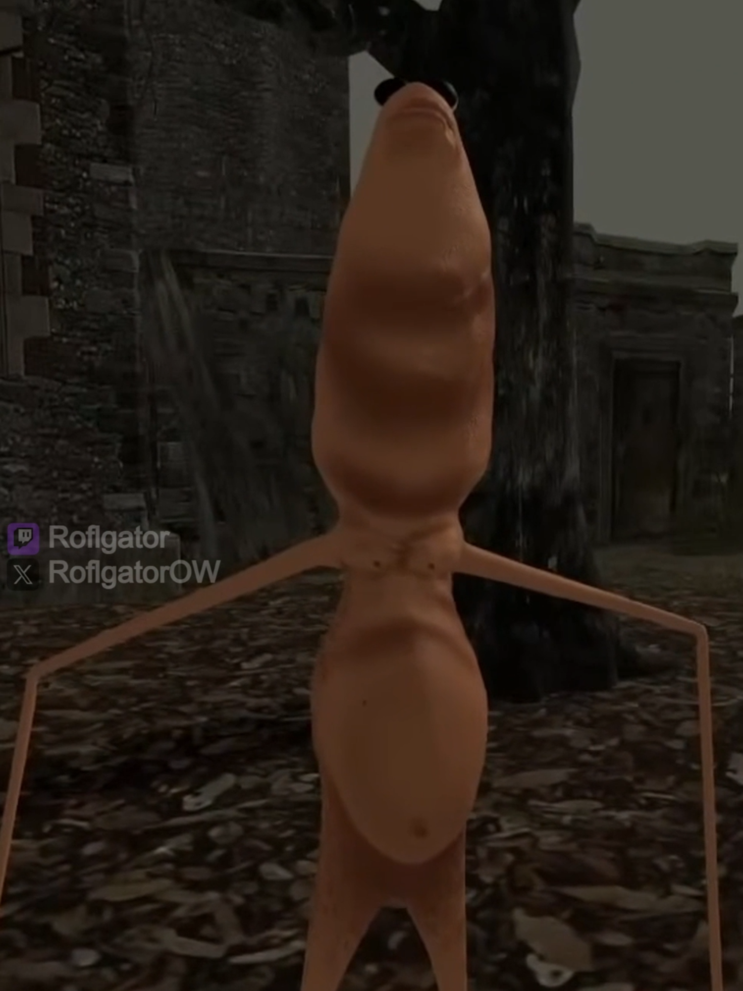 Don't worry guys, Marcus is fine... Probably #roflgator #vrchat #vrchatmemes #funnymemes #marcus Don't forget to check out our new youtube channel for exclusive Marcus content! Gonna be uploading a lot there soon