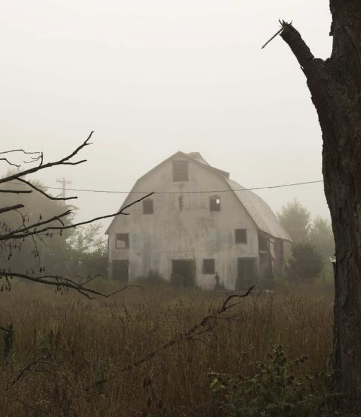 eerie but comforting #nostalgia #eerie #weirdcore #weirdvibes #aesthetic #eerieaesthetic #core #marsh #outside #creepy #creepyaesthetic #farm #farmcore 