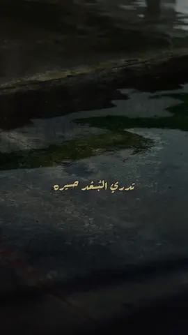 تدري البعد حيرة🤎🥀#باسم_الكربلائى #لايك #متابعه #اكسبلوررررر #ترند 