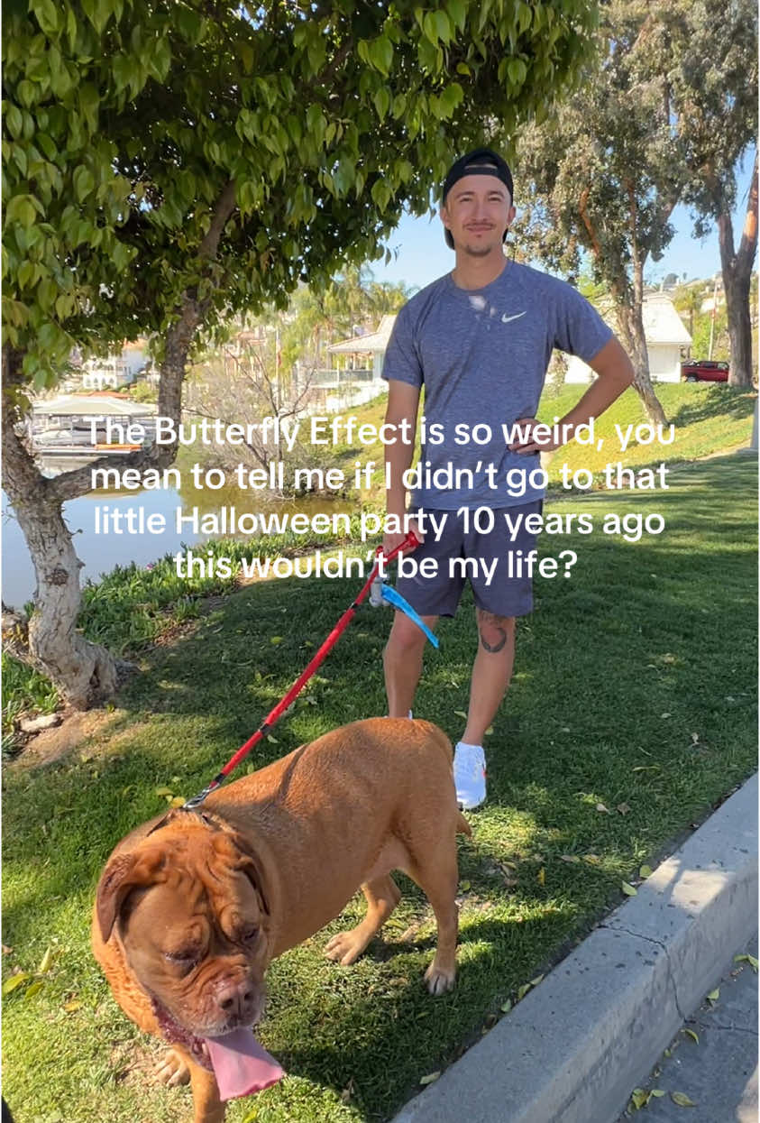 Never looked back 🩵#butterflyeffect #babyboy #wife 