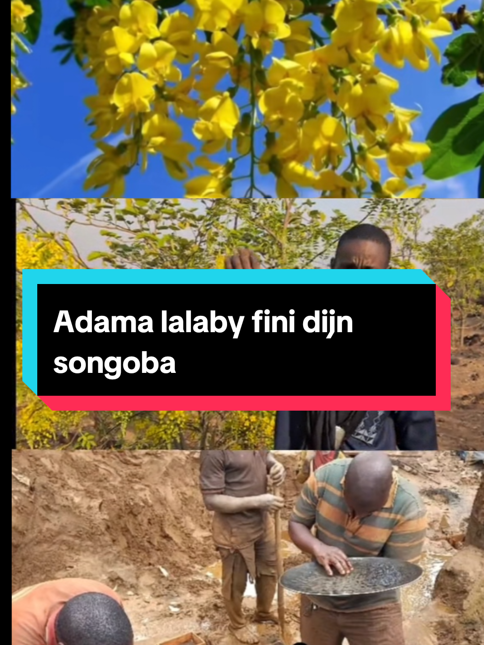 #f 