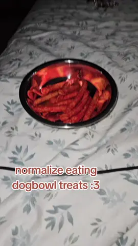 about to feast rn #fyppppppppppppppppppppppp #fypシ゚viral #fypage #fyp #tails #hyper #hypermotion #hypermotiontail #wag #waggy #waggytail #tailwag #kemonomimi #bordercollie #dog #dogbowl #collar #dogboy #imadog 