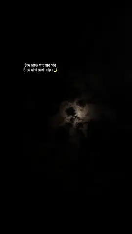 🌙