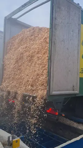 #internationalchauffeur #walkingfloorexpress #fypシ゚viral #daftrucks #daf530 #nofarmersnofood #trucking #ostdeutschland #ortefüralle #mylife #vollistwennsüberläuft #schubbodenmafia 