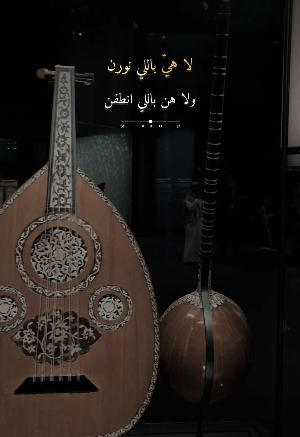 الناس والايام تحتاج وجهين ‏وانا معِي واحد ويبغى السلامه 🎶🎻#تصويري##dancewithpudgm #fyp #foryou # for you page #viral#علي_بن_محمد #ابوس_راسك_يا_زمن 