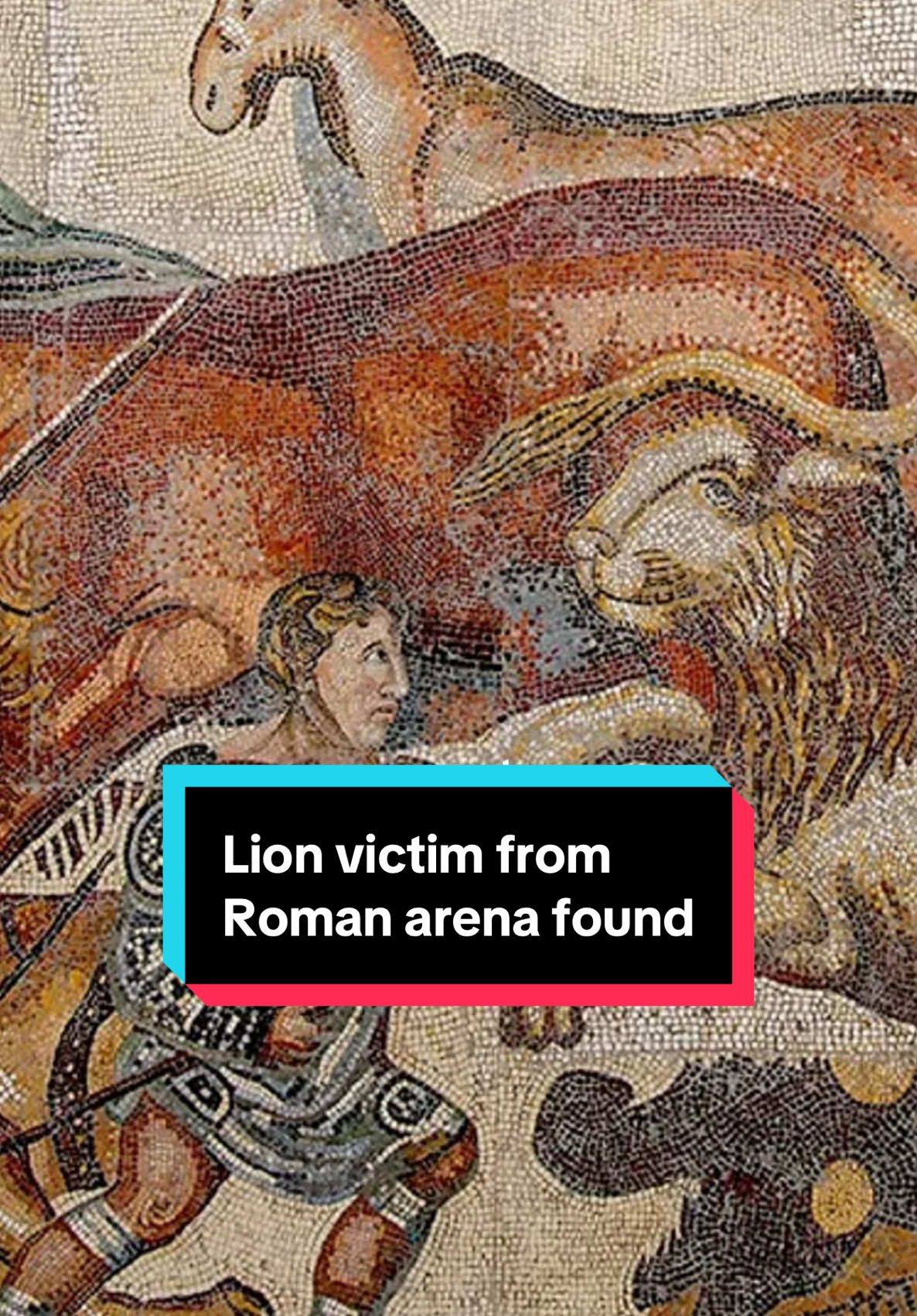 But he’s probably not a Roman gladiator… Bit different to my usual content. Thought I’d just give my thoughts as they came on this one! Let me know what you think in the comments. This skeleton from Roman York bears bite marks that match a lion’s, finally giving us physical evidence that wild beasts were fought in the arena in Roman Britain.  Found at Driffield Terrace, where dozens of headless young men were buried, this man’s 3rd-century AD injuries tell a chilling story of arena violence on the empire’s edge.  But he was more likely a venator (hunter) or a bestiarius (criminal or someone who did it for a job).  #History #archaeology #romanempire #gladiator #historytok #LearnOnTikTok #interesting #archaeologist #historian #ancienthistory #ancientrome #ancientcivilizations 