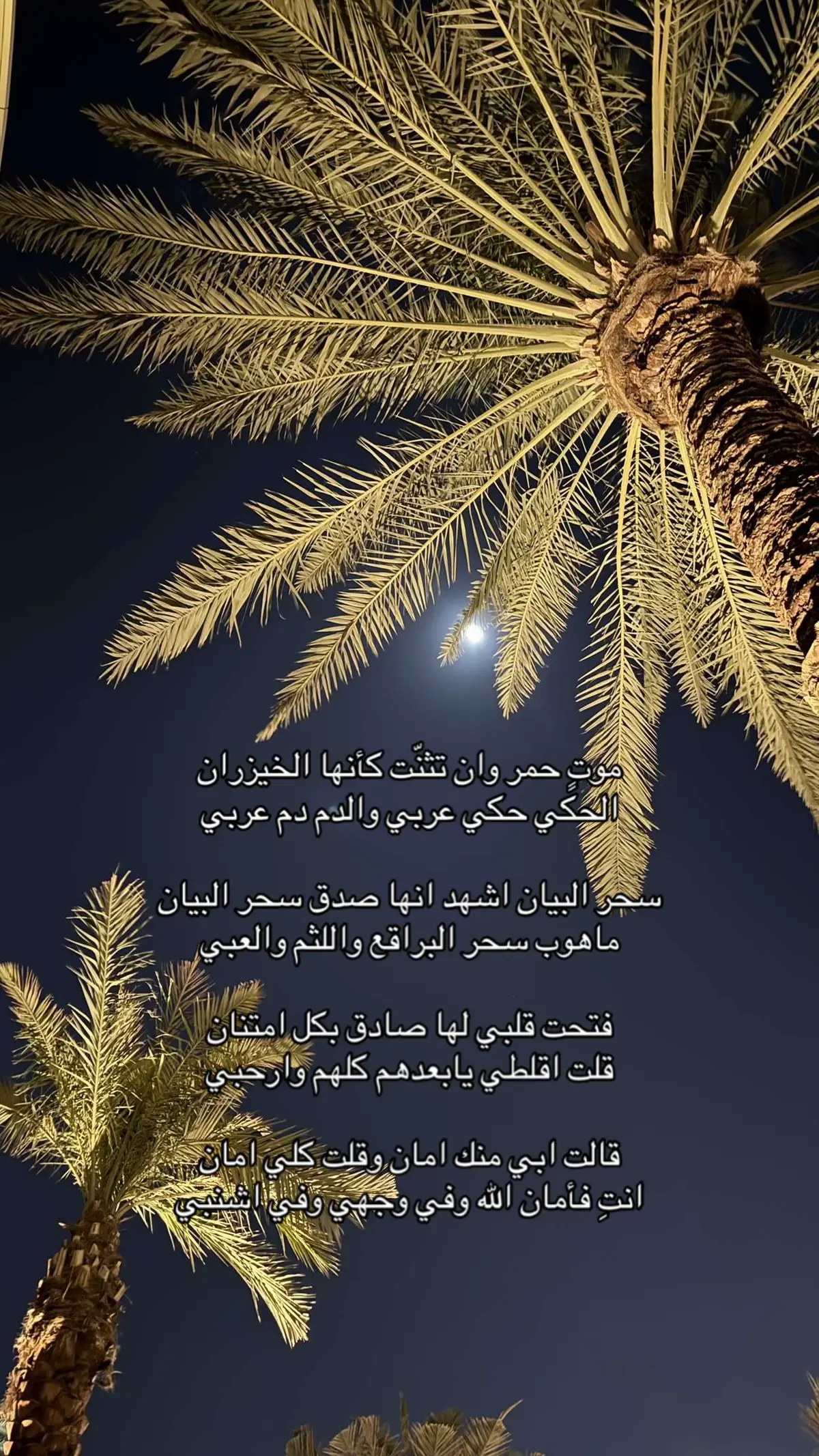 موتٍ حمر وان تثنّت كأنها الخيزران … #فلاح_المسردي #N#Nawaf🐆#LiveForTheChallengef#fypy#youtubef#fypシr#Relationshipo#onb#btsf#fypf#fyi#illus#stitchl#Loveootd 