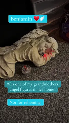 Benjamin ♥️🪽 This sweet spirit is not for rehoming. This angel vessel Benjamin resides in was one of my grandmother’s angel figures that resided in her home that was passed down to me. The spirit in this beautiful angel is four years old. He was neglected by his mother and her boyfriend and starved to death. Despite the neglect and abuse that Benjamin faced he is very very sweet and loving. Toy trucks was his favorite to play with. #haunted #witchtok #haunteddoll #paranormal #spirit #ghost #keeper #fyp #angel #child #ghost #positive #bulletlight 