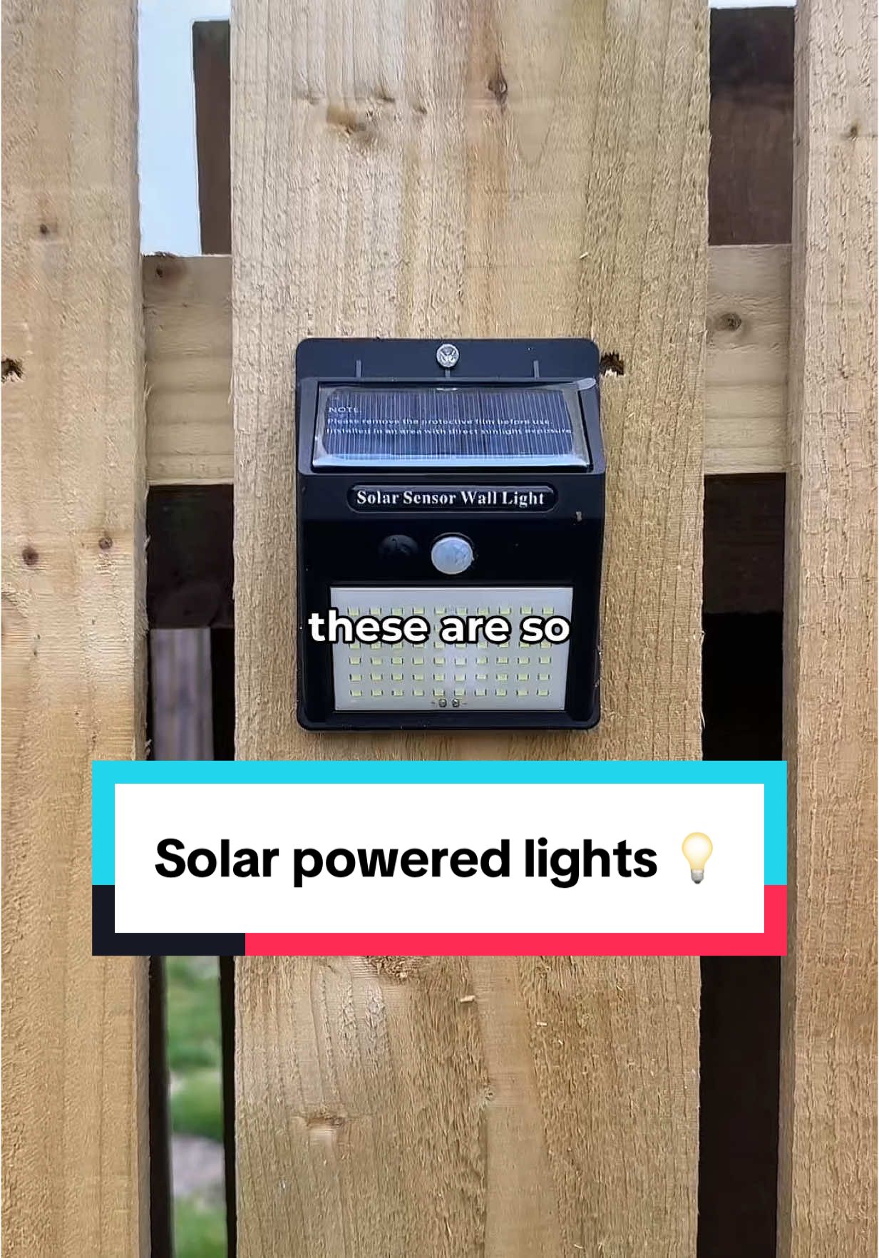 Transform Your Garden with These Solar Powered Lights – No Wires, No Hassle! #SolarLights #GardenGlowUp #TikTokShopFinds #HomeImprovement #GardenDecor #EcoFriendlyLiving #OutdoorLighting #SolarPower #BackyardVibes #ViralProducts #GreenLiving #EasyDIY #sustainablestyle #TikTokMadeMeBuyIt 