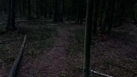 don't want.... #real #atmosphere #depressed #helpme #darkaesthetic #tired #apathy #sadvideo #sadvibes #alone 