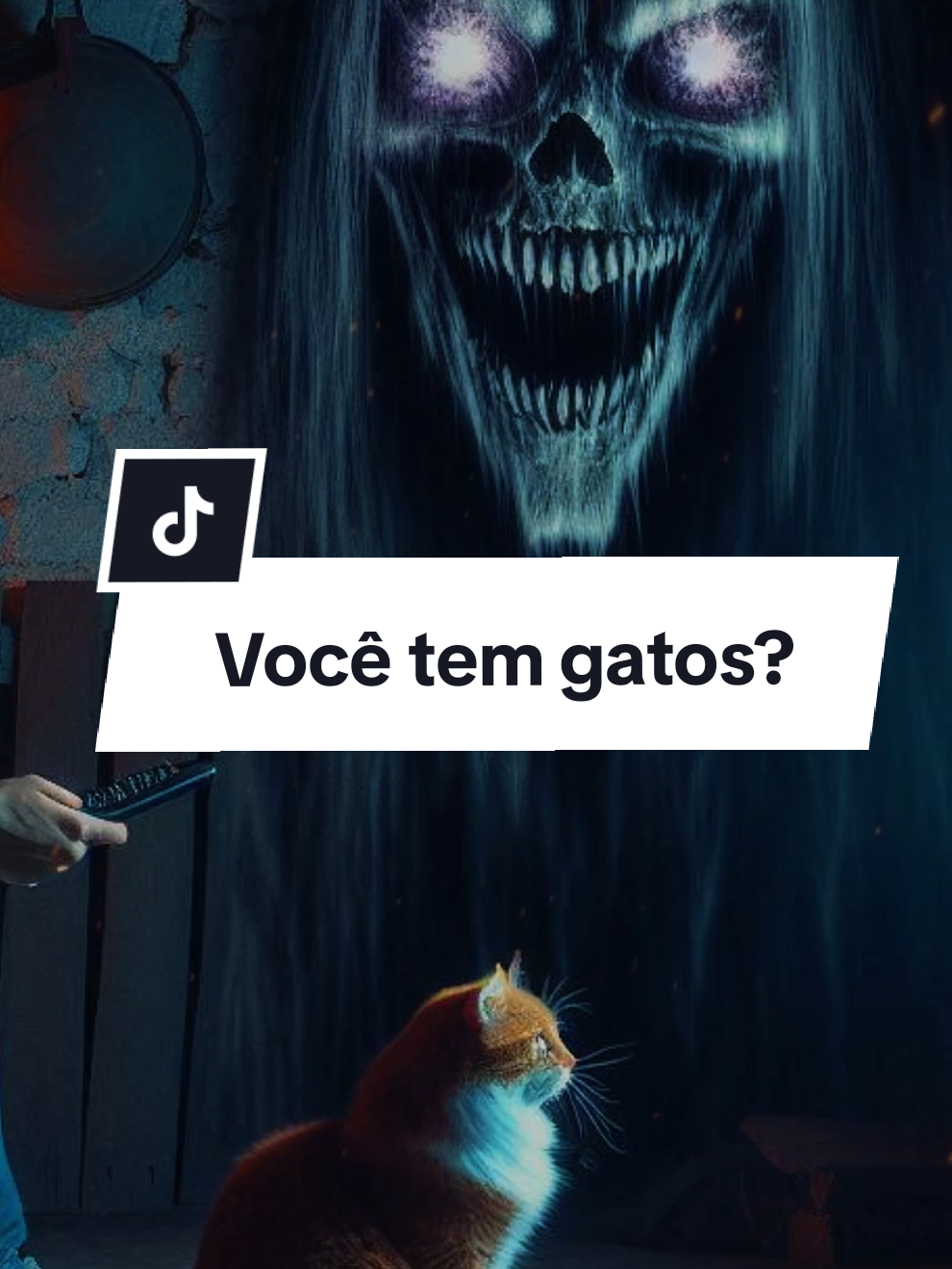 você tem gatos em casa? #historiasdeterror #medo #lendas #terrortiktok 