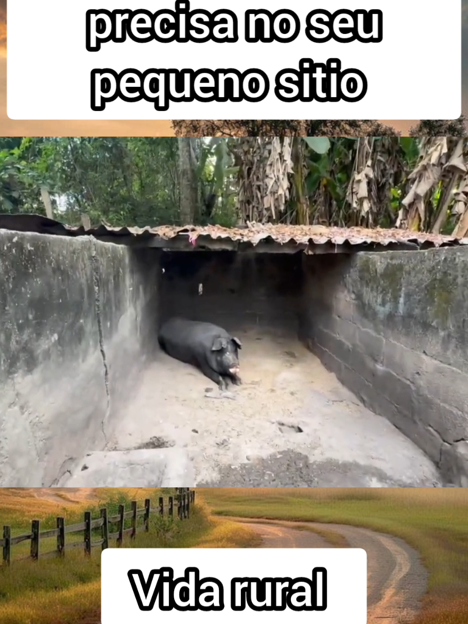 ele produz tudo que precisa no seu pequeno sitio  #vidarural #trabalho #vlogs #agro #sitio #fazenda 