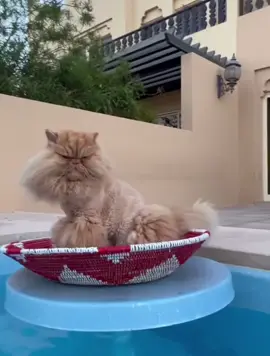 #fyp #pourtoi #parati #song #kpop #kai #exokai #kimjongin #kimjonginexo #waitonme  @EXO