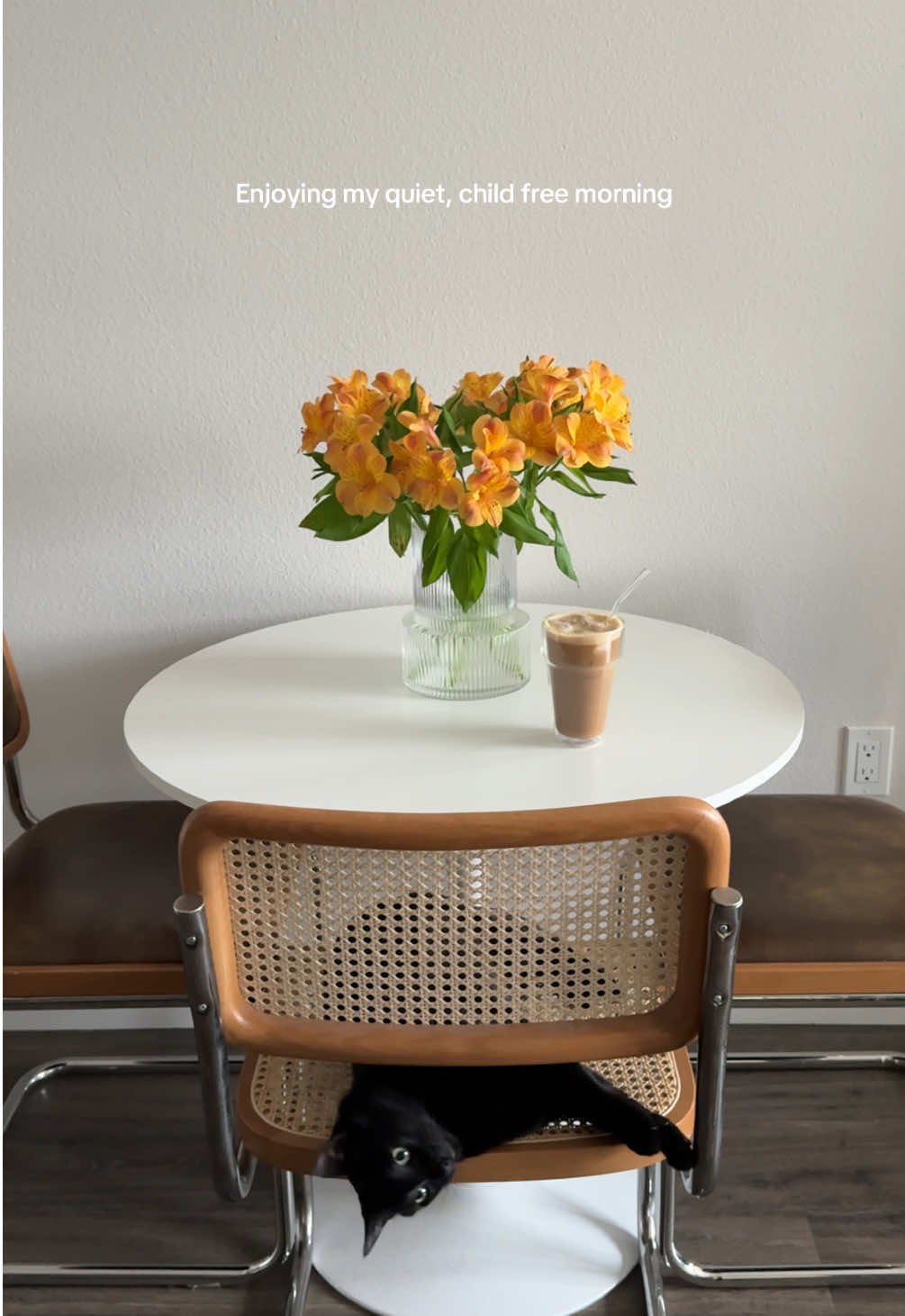 He really is that chill (he gets zoomies at night) #cat 