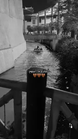#راشد_الماجد #fyp #تحدوه_البشر 
